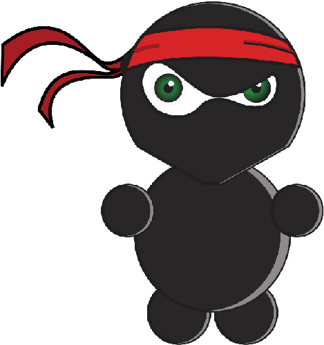 The Css Ninja